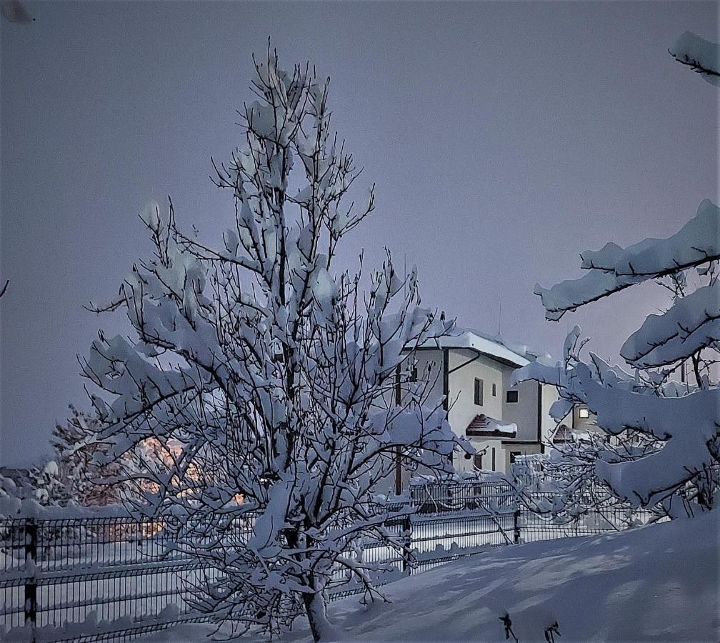 Pinerose Resort Bansko Exteriér fotografie