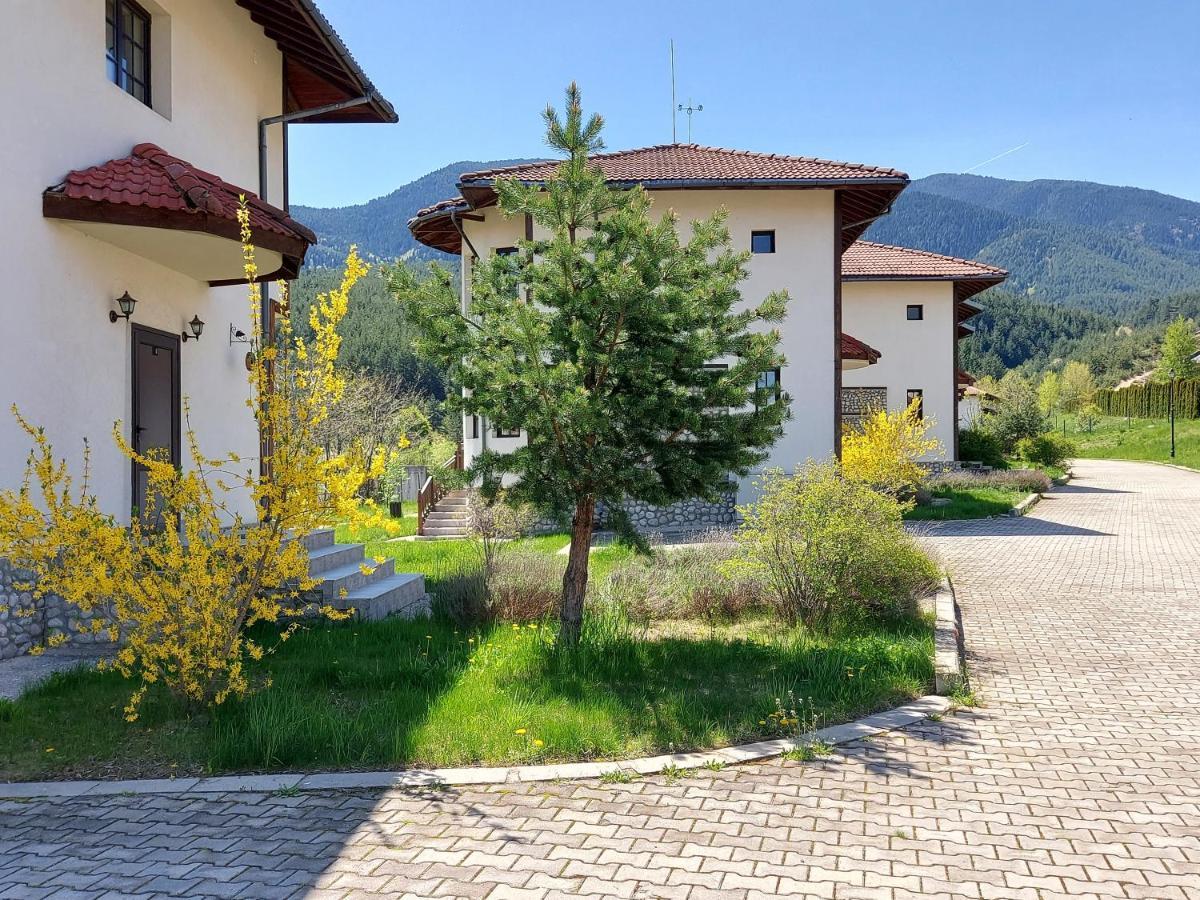 Pinerose Resort Bansko Exteriér fotografie
