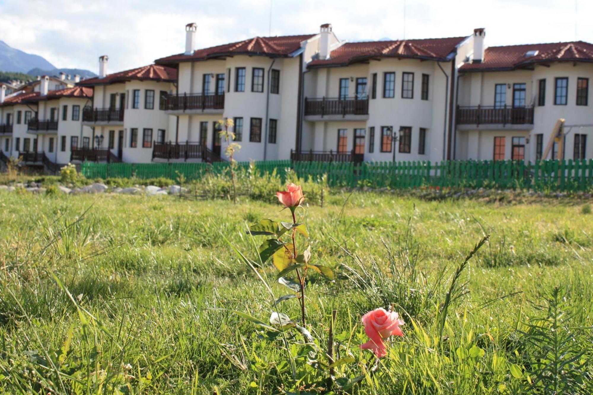 Pinerose Resort Bansko Exteriér fotografie