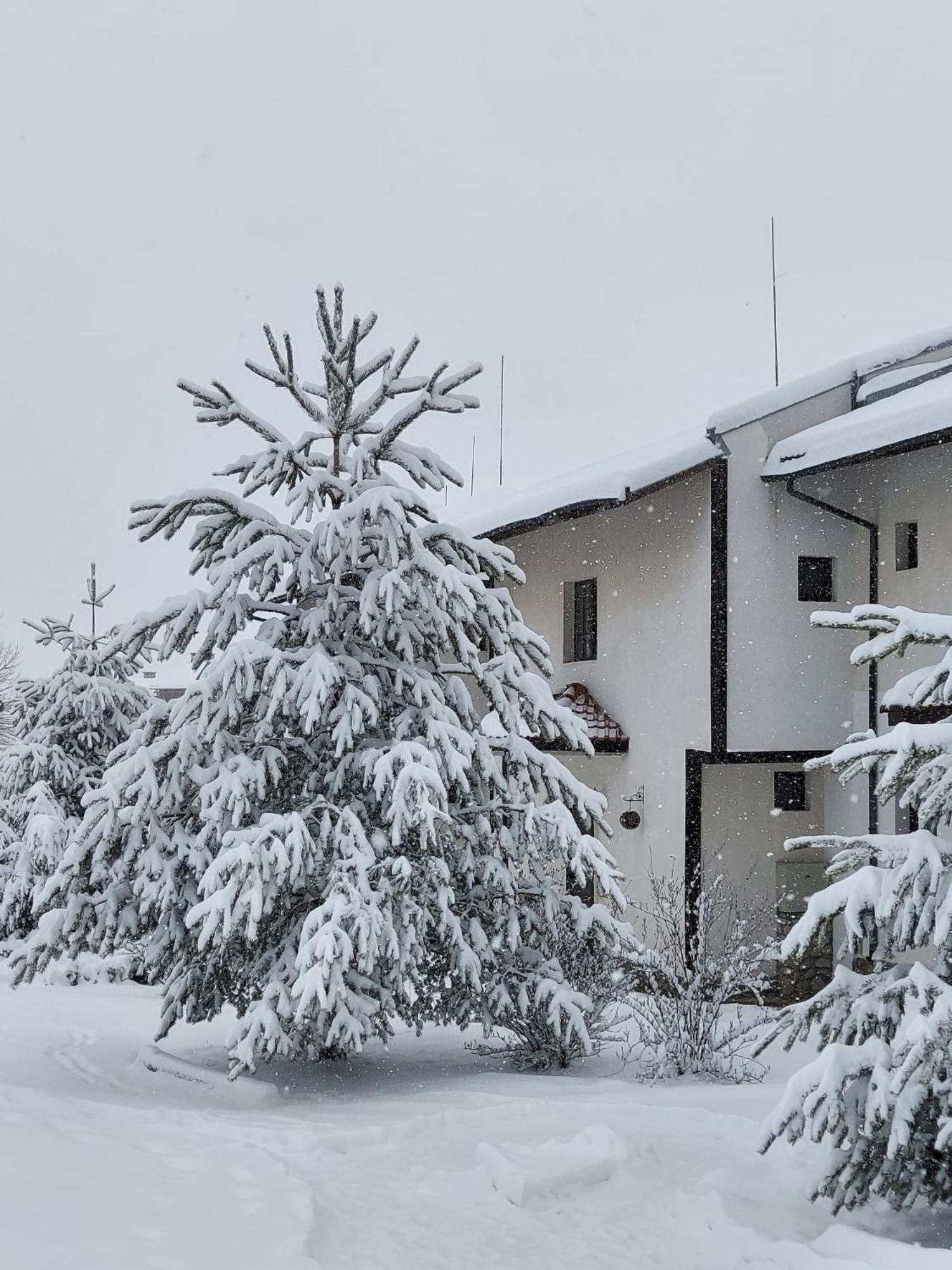 Pinerose Resort Bansko Exteriér fotografie