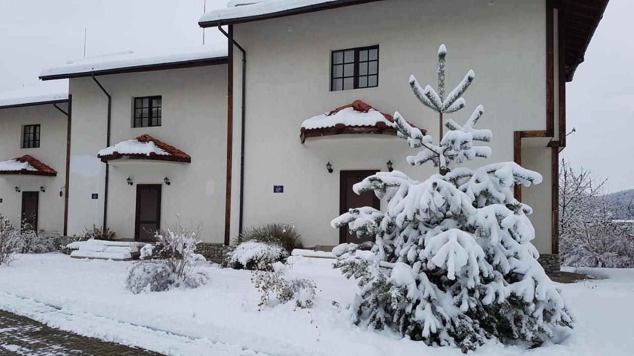 Pinerose Resort Bansko Exteriér fotografie
